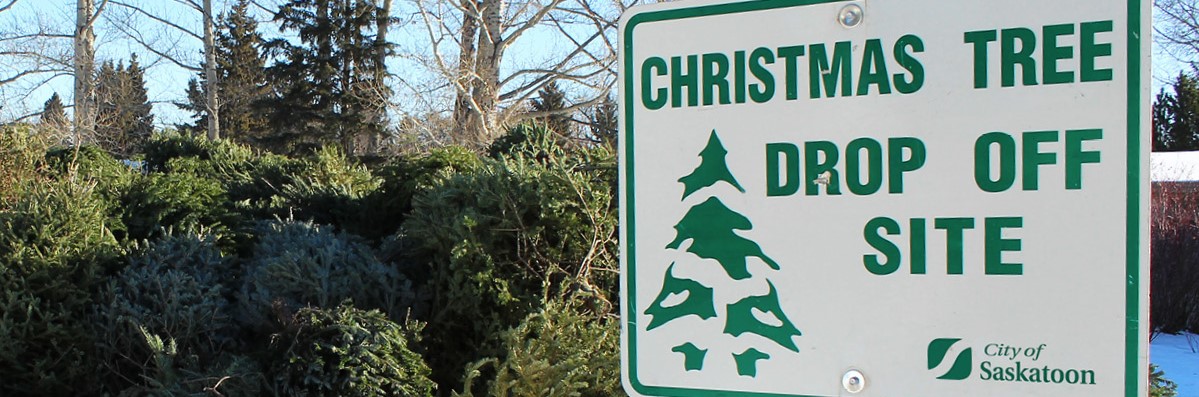 Christmas tree recycling program, Christmas tree disposal, throw out Christmas tree