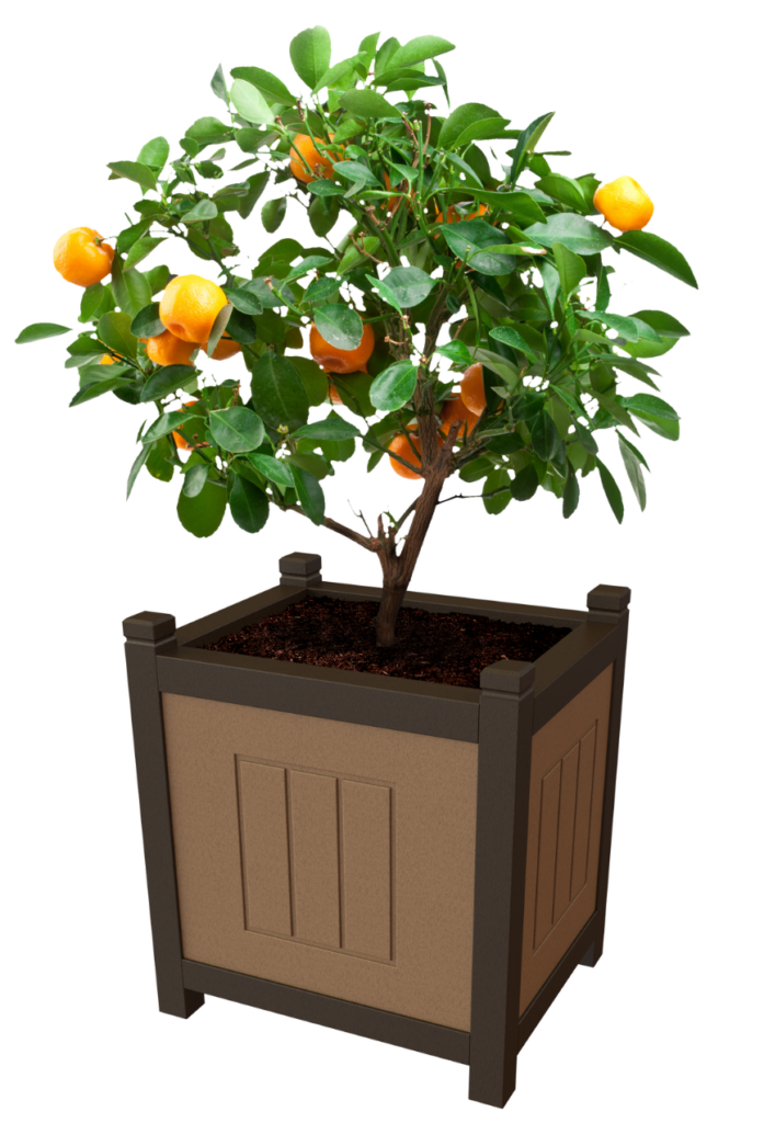Planter