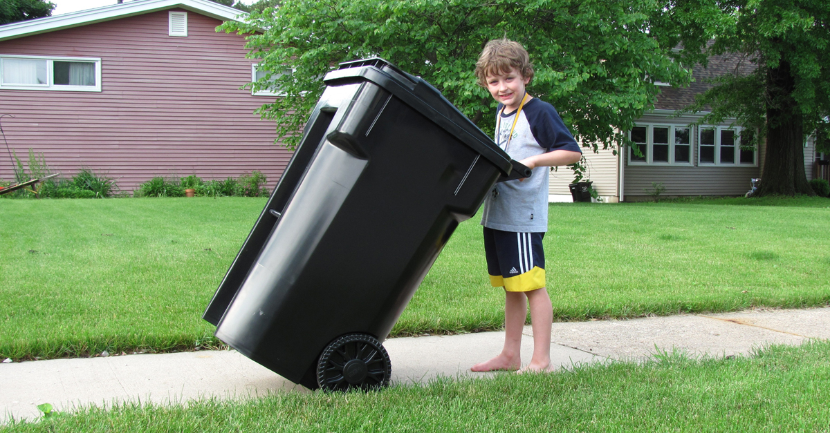 Recycling Carts, Stealth REcycling, School Recycling, Curbside Recycling, County Recycling program