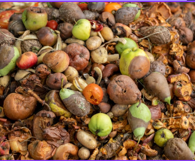 New York food waste law compliance guide — 6 NYCRR Subpart 361-3